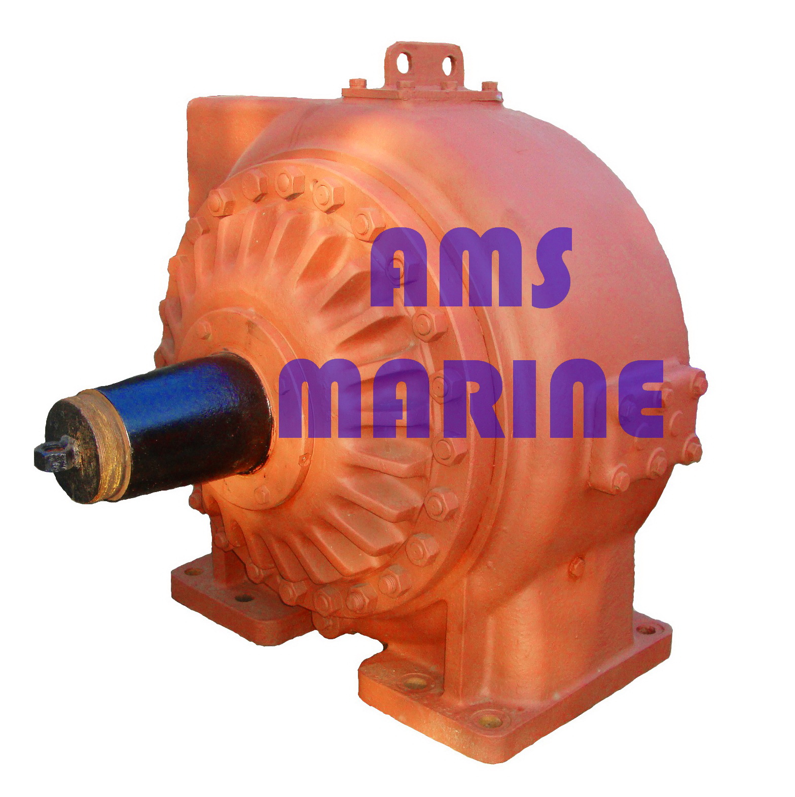 AMS Marine
